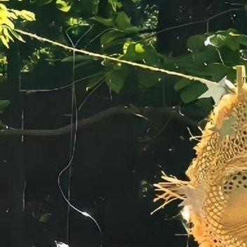 每日一善✨️阳光信用 ✨️每日一善 人活一世重要的是经历。苦也好，乐也好，过去的