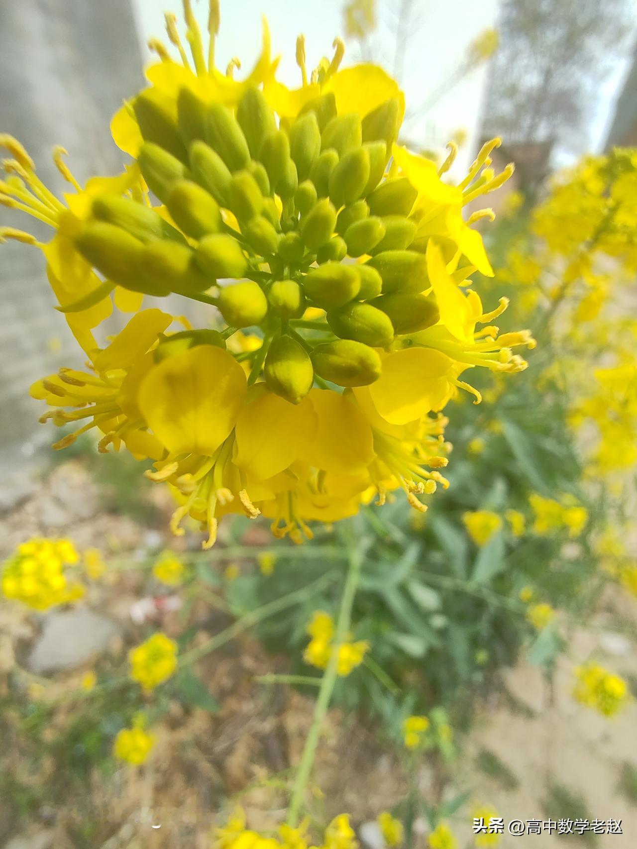 家长不要在孩子面前抱怨英语
        那些天天抱怨英语没用的，你问问他数学