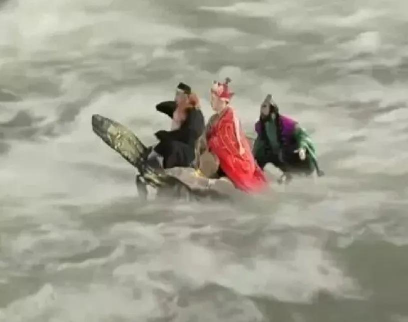 广东潮州渔民在韩江潮州市区段捕到“水中大熊猫”韩江鼋！它是国家一级保护野生动物，