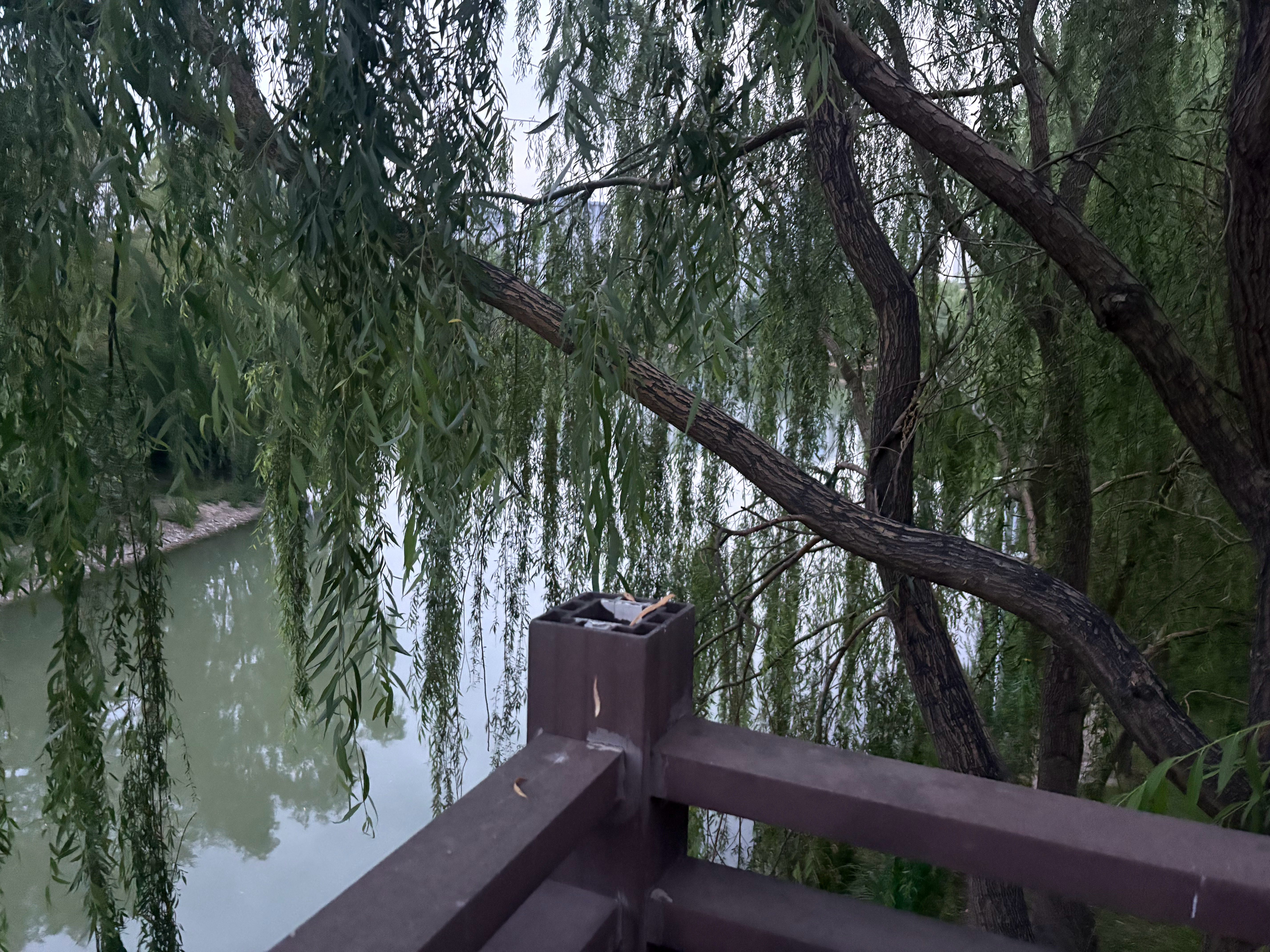 约会！ 