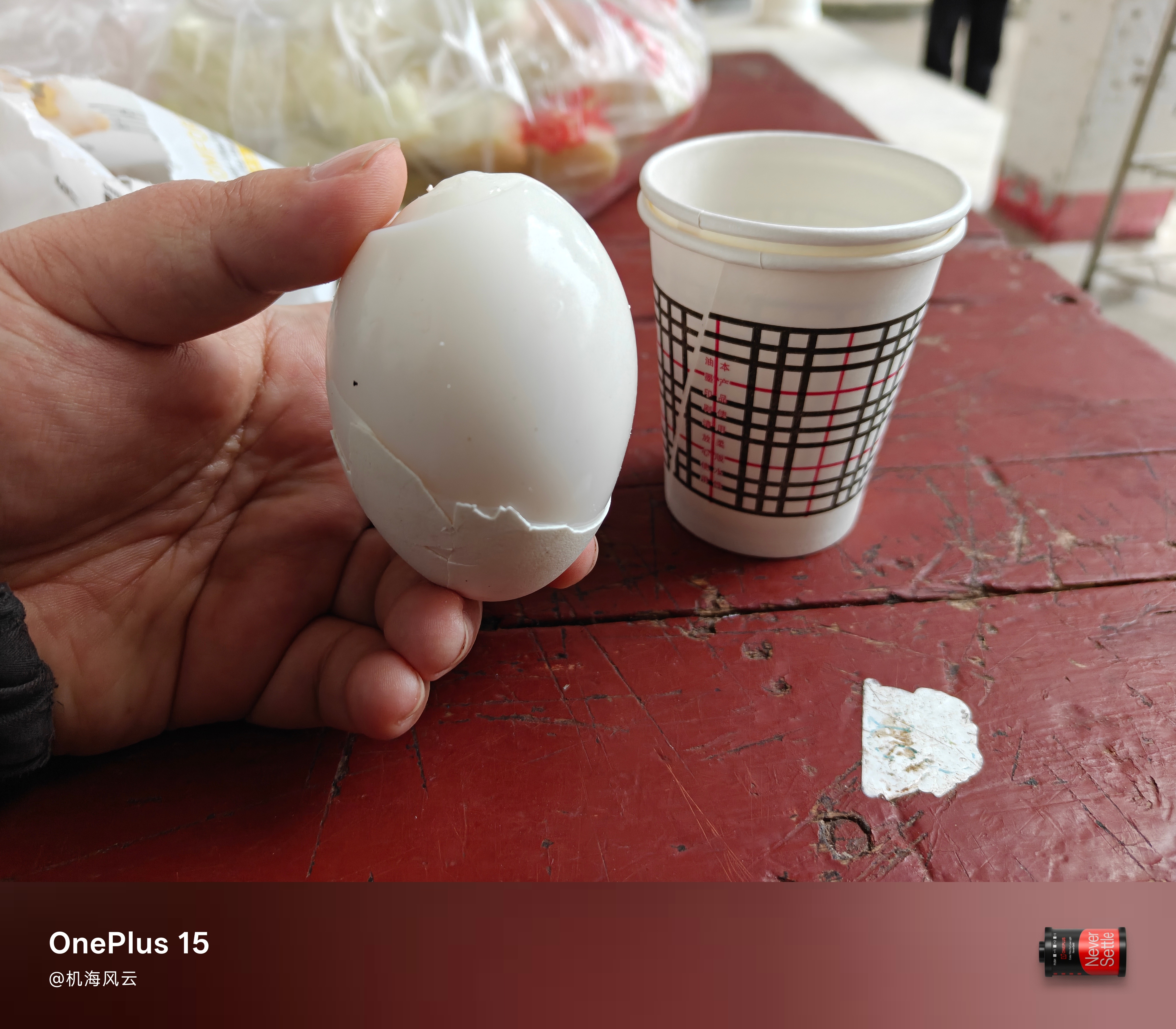 好家伙！这鹅蛋果然是大！ 