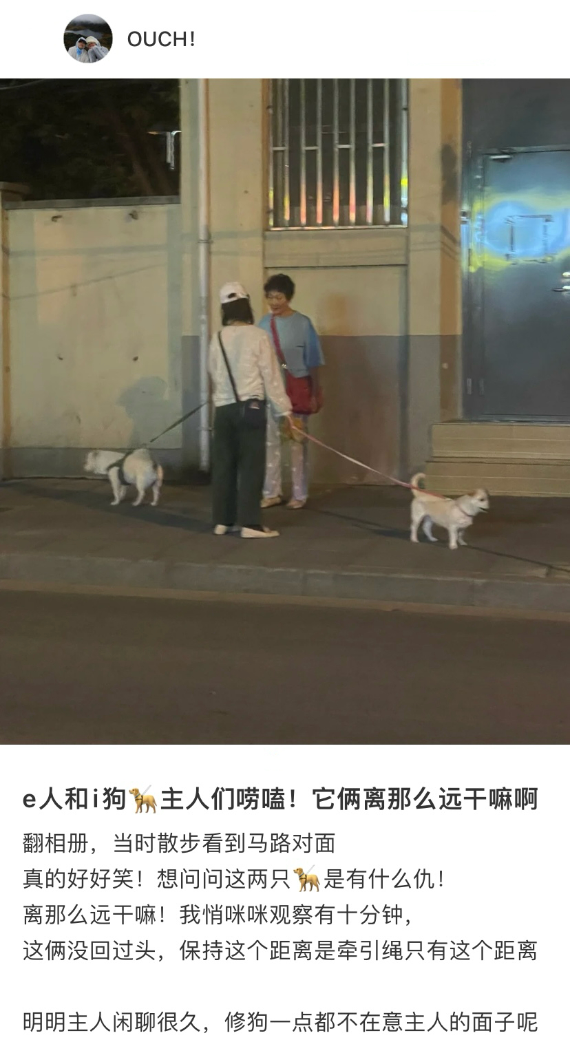 当i小狗有一个e主人狗狗：妈妈我想回家…… ​​​