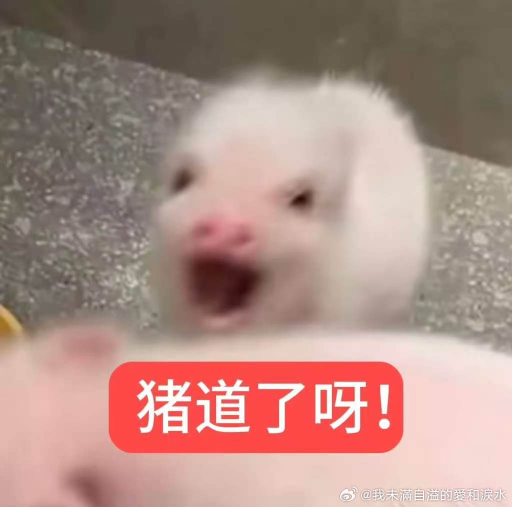 力挺张真源猪塑 ​​​