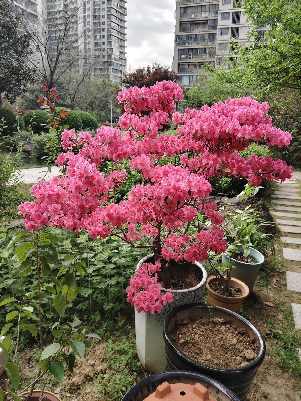 4月13日A股收评：低开高走后，收的阳线不小，明日或迎调整A股波动风险 [点亮平