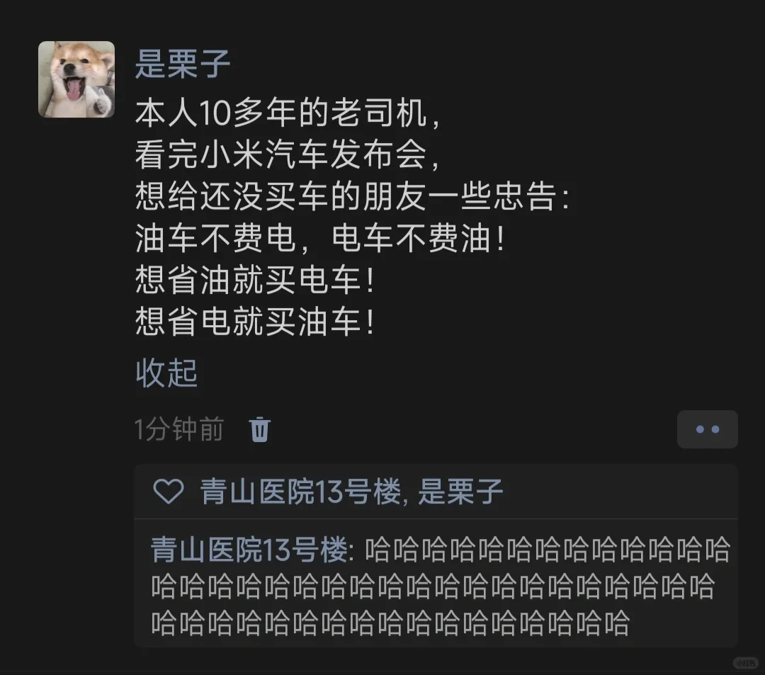 本人10多年的老司机，看完小米汽车发布会