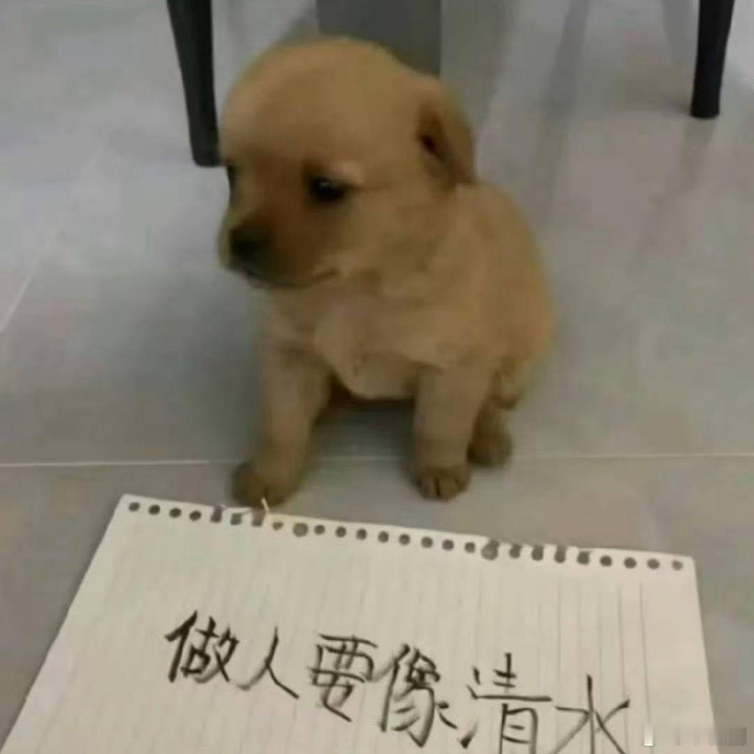 现在的生活理念就是朴素诚实脚踏实地少想多做。 ​​​