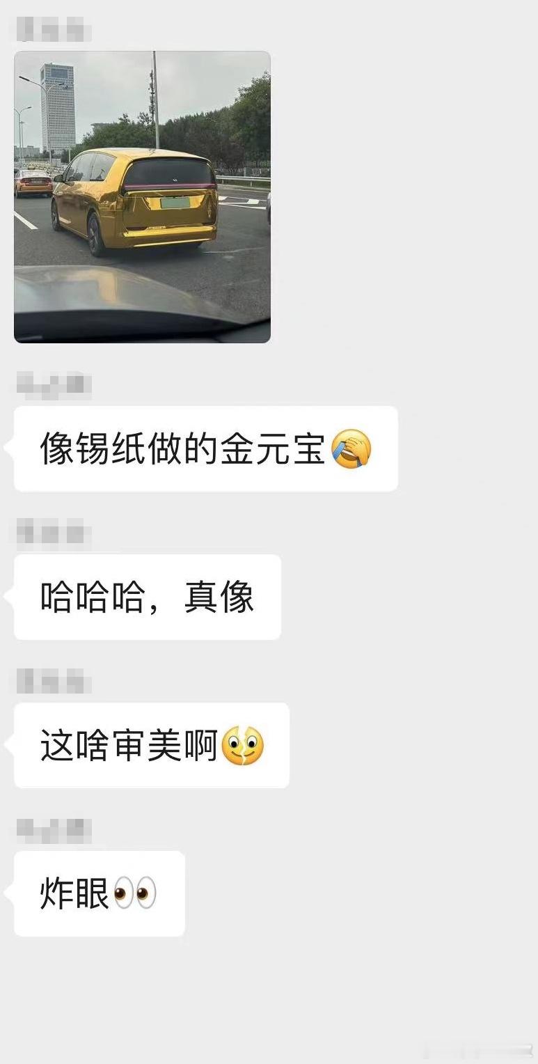 一言难尽啊，有群友说像锡纸做的金元宝...你们觉着呢？#大v聊车# ​​​