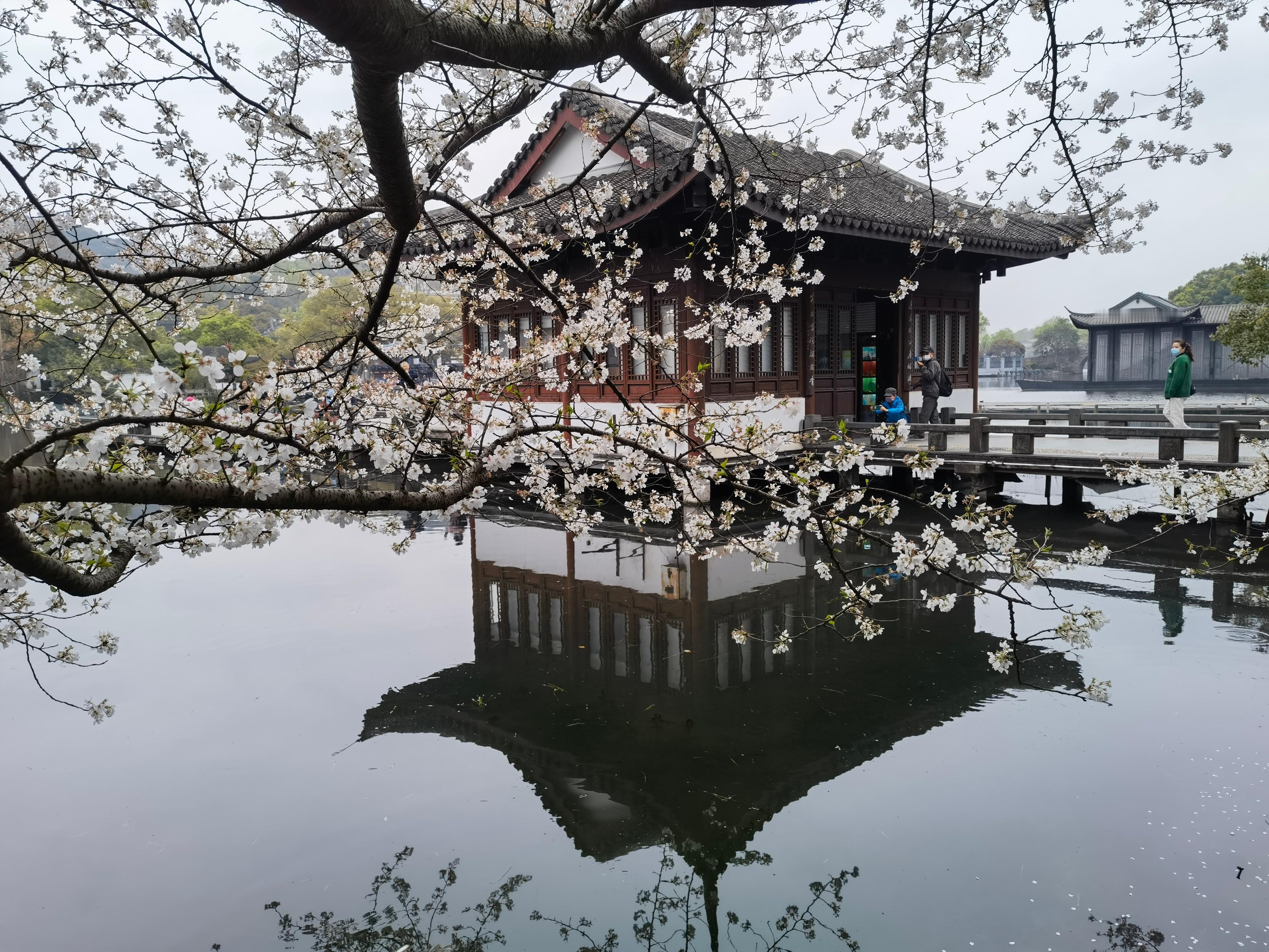 中国最适合夫妻养老退休的城市潍坊——中国最适合夫妻养老退休的城市之一，原因何在？