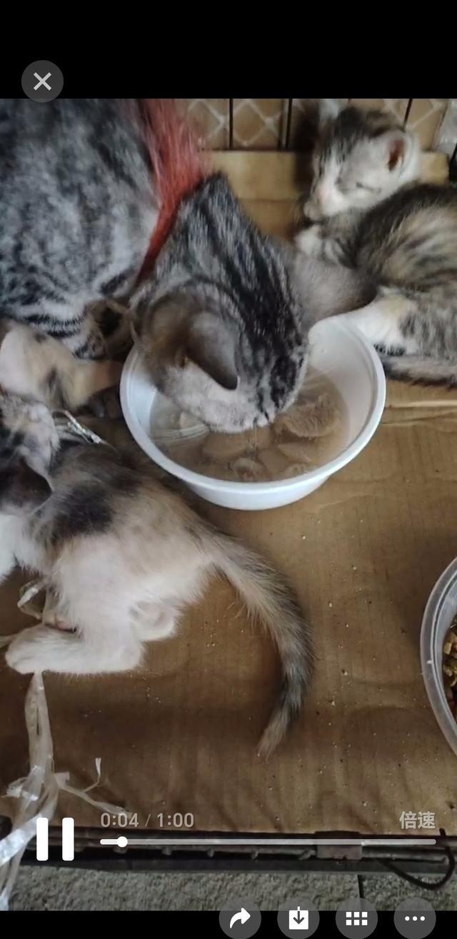 看到个帖子，一老头说：能动就自己照顾自己，真动不了又死不了（咱国安乐死没立法，自