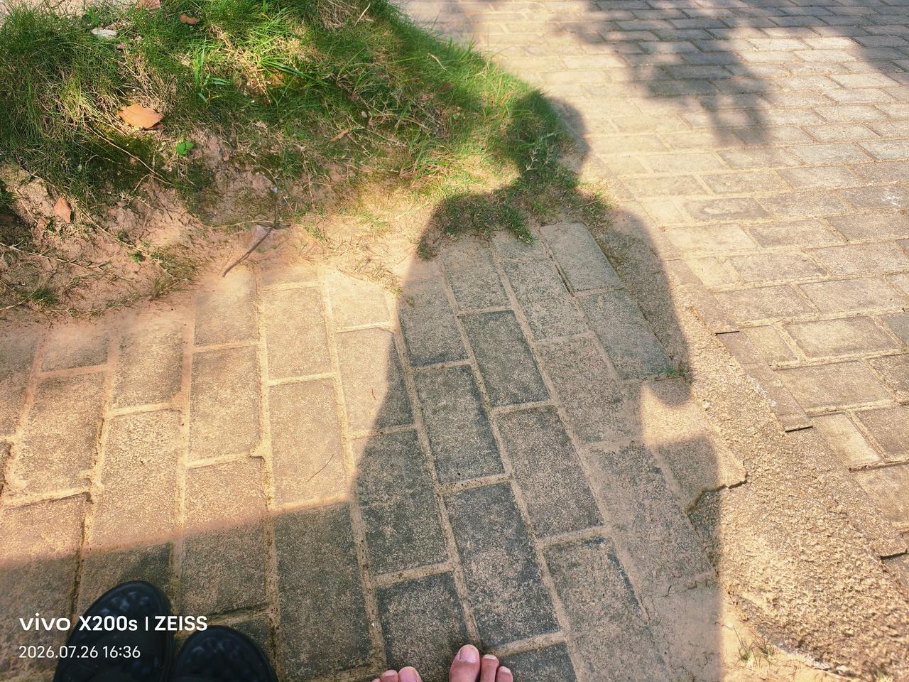 夏日生活打卡季晒背：每天下午在大院晒20分钟的背，除身体上的湿气和大脑中的水份，