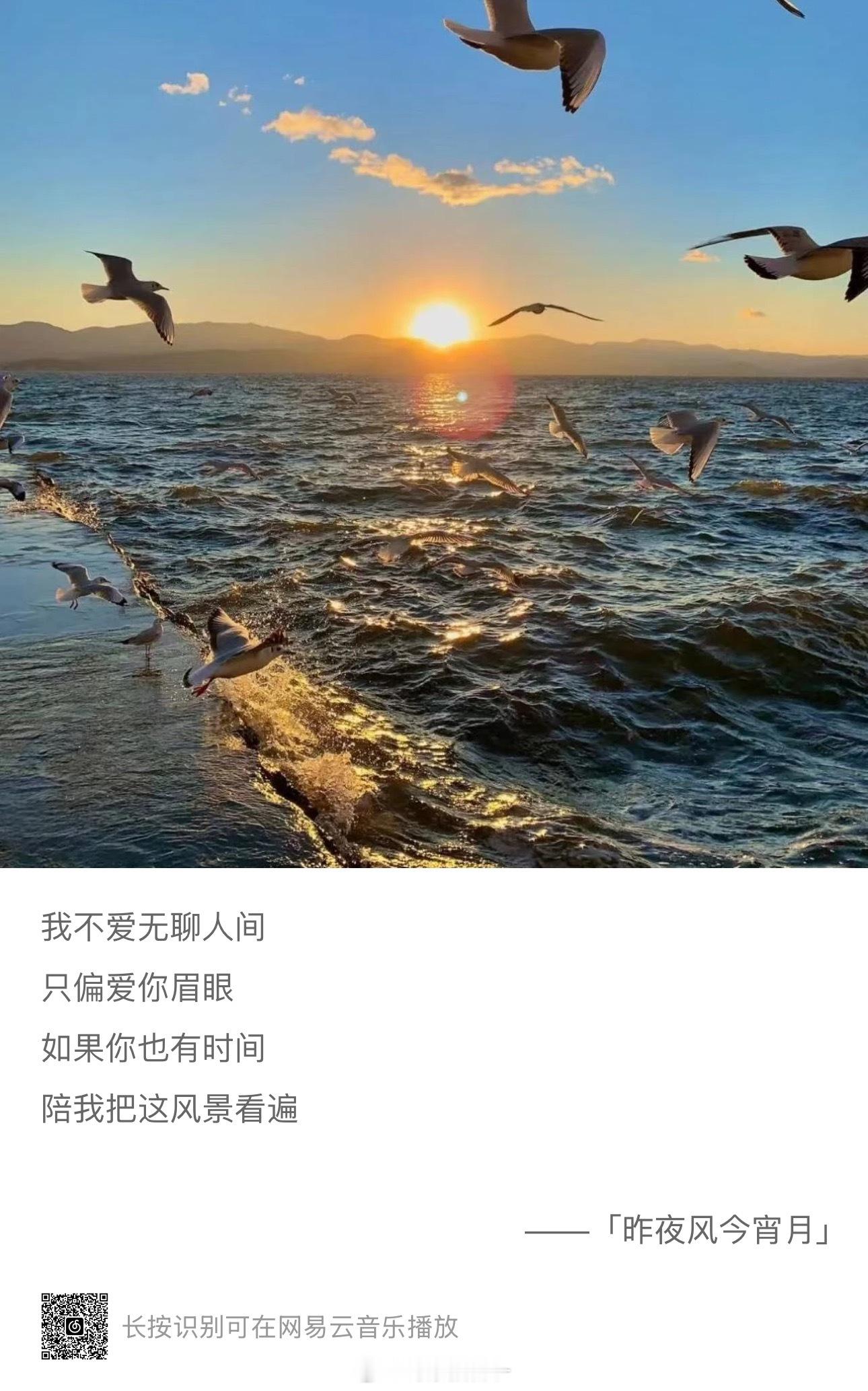 “昨夜的微风今夜的月亮我都想陪你去一起见证” ​​​