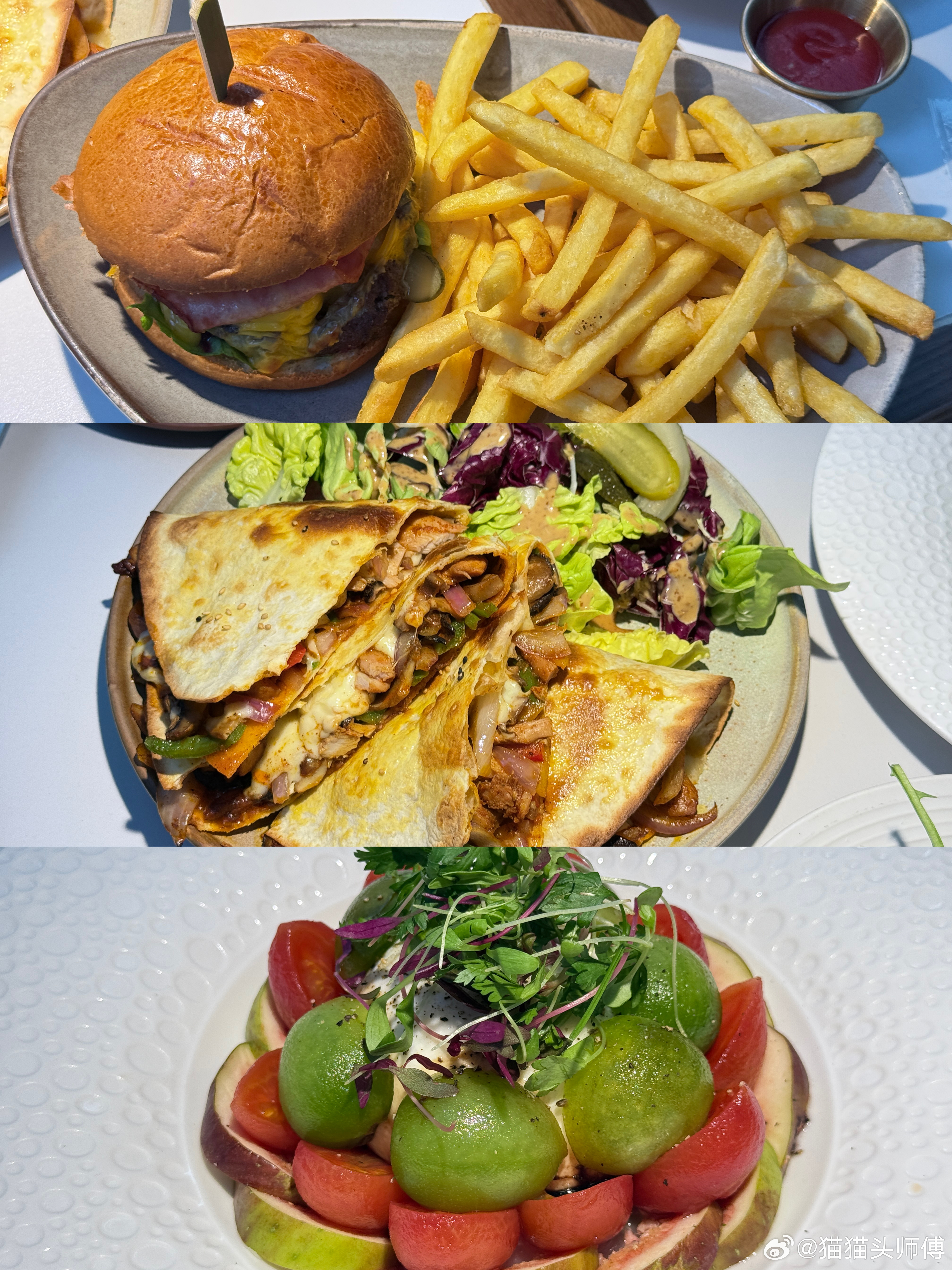 🫛 我勒个豆寻到了它的LV主人 上海