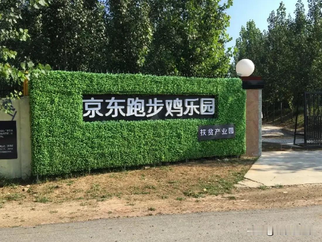 以后的养殖业肯定也是大资本介入。
京东有个走地鸡项目，2016年开始搞。首先在河
