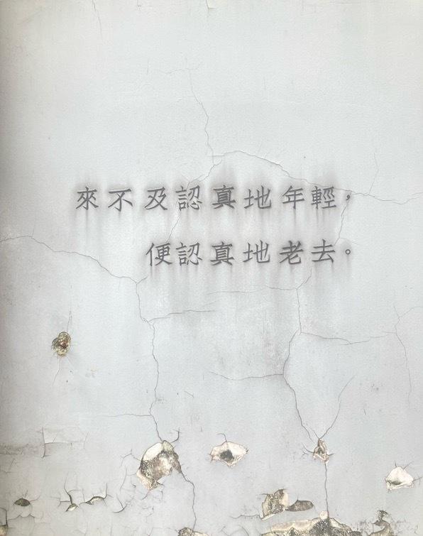 其实都不用认真 ​​​