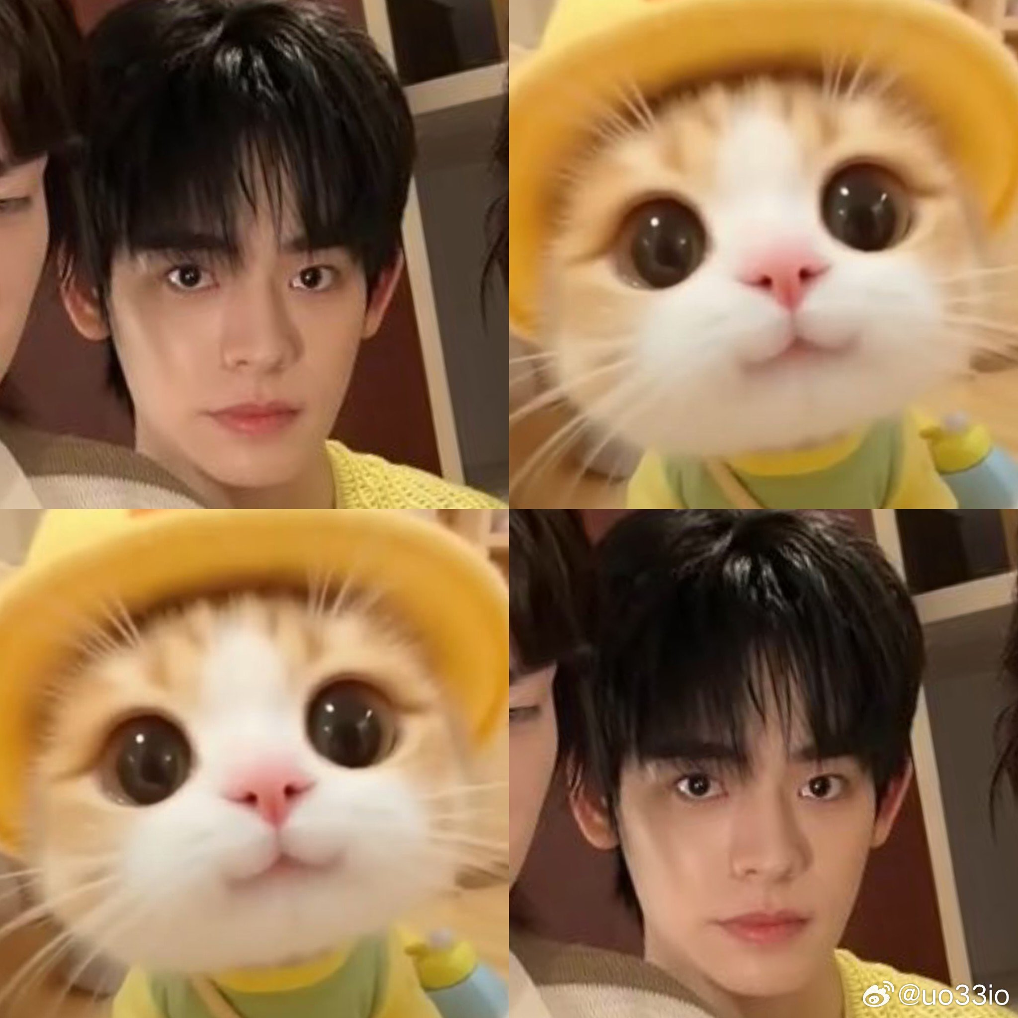 (˶>ㅅ<˶)..💬 