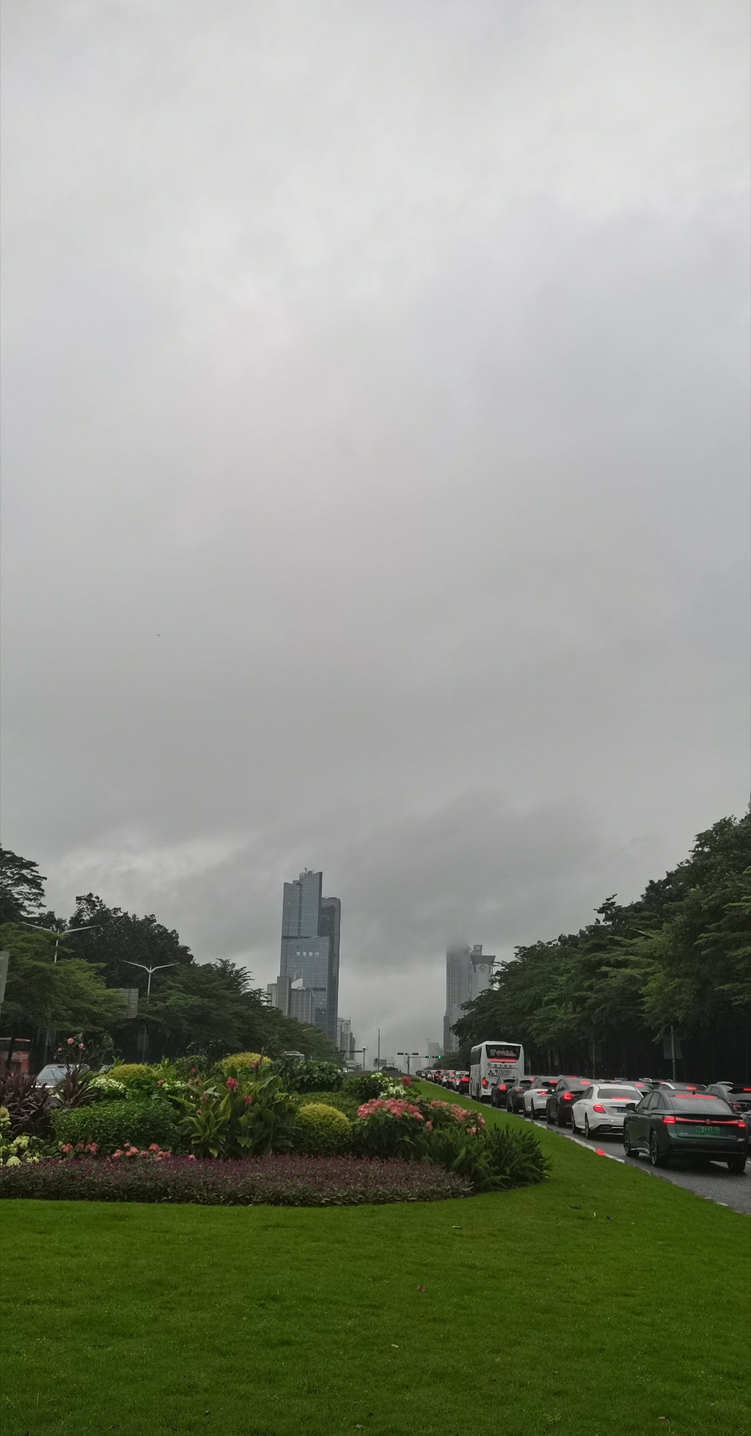 深圳的雨仿佛没有终点，连绵不绝一场接着一场。天空长久蒙着厚重灰雾，空气裹化不开的