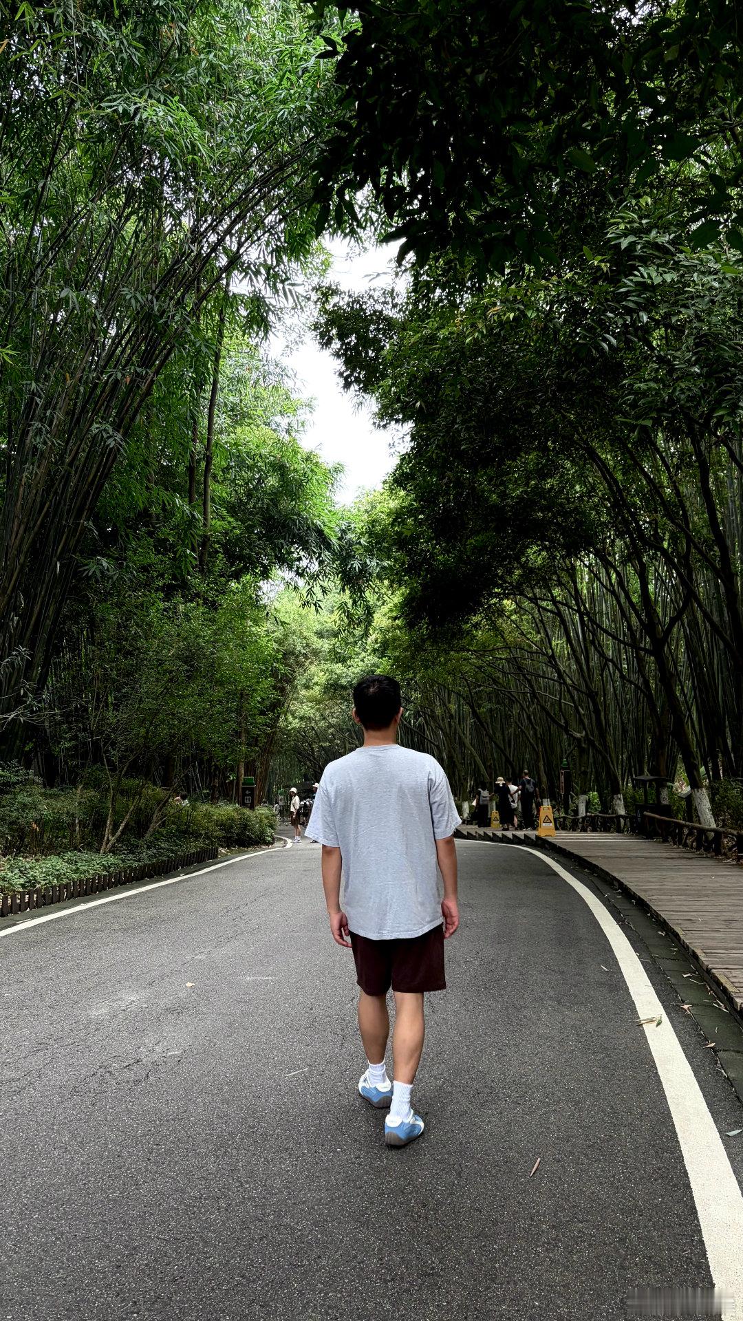 此刻最后悔为什么没买一个带长焦的手机🐼 成都·成都大熊猫繁育研究基地