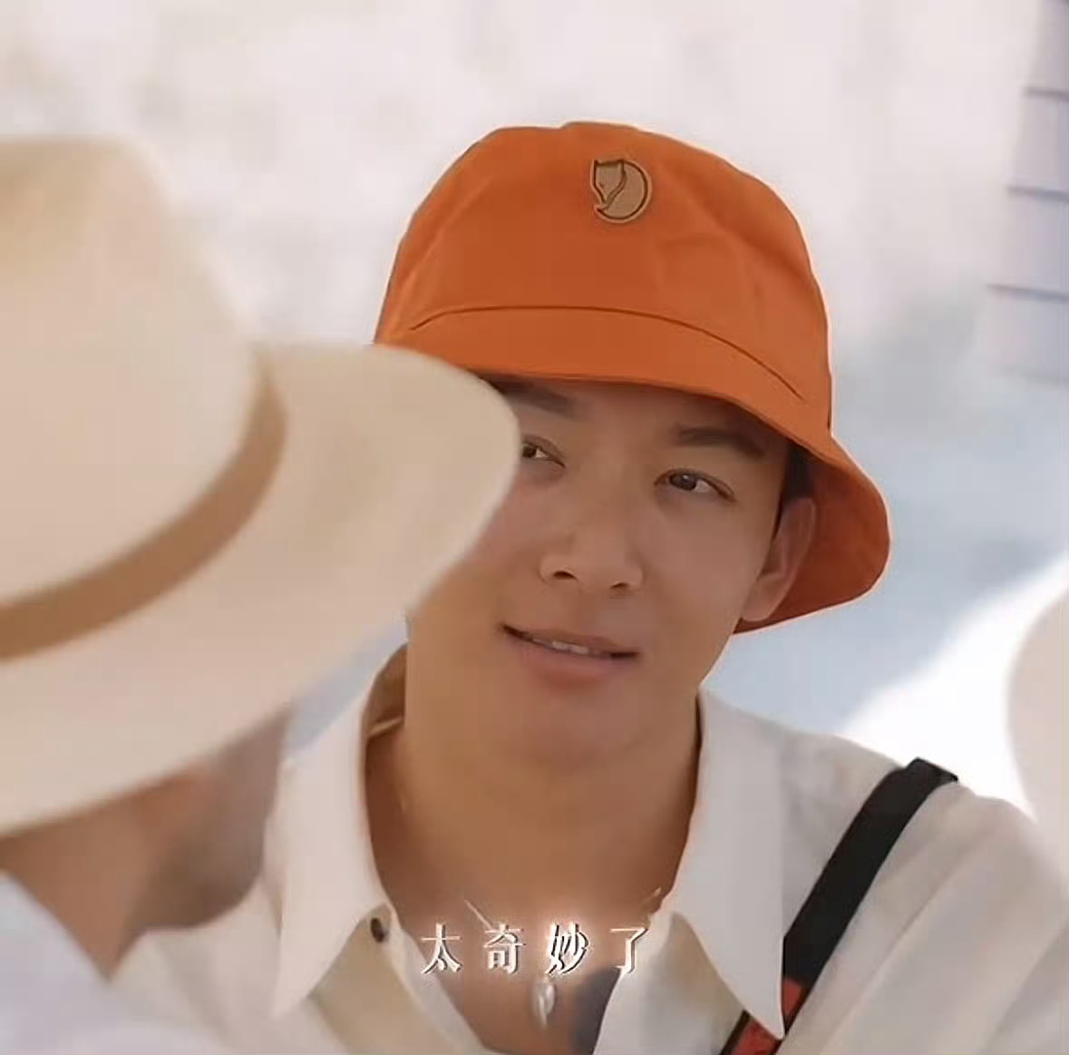 张晚意 知识让我有饱腹感 