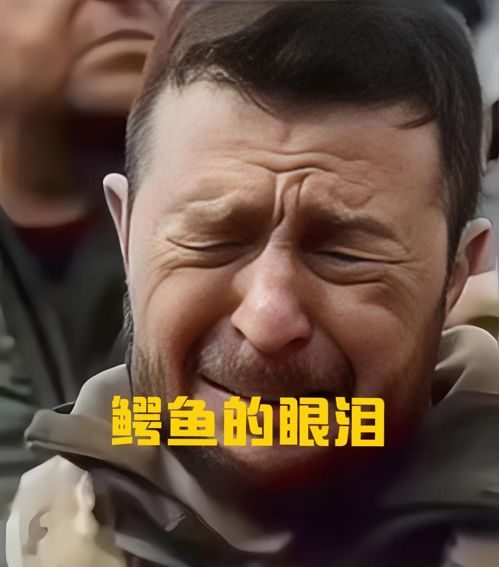 泽连斯基的眼泪，不是悲悯，而是悔棋。

泽连斯基在俄方的轰炸中流下了眼泪！面对被