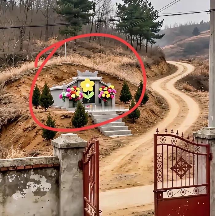 一位网友在线求助，他家的院门正好对着前面的坟墓，估计换做谁都觉得不舒服吧，每次打