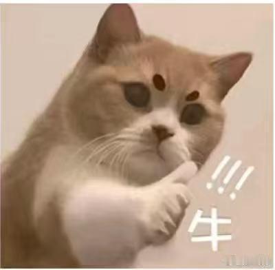 晋江女孩为患癌外婆学医圆梦因为助学计划让无数因为家庭贫困的孩子可以有了实现自己心