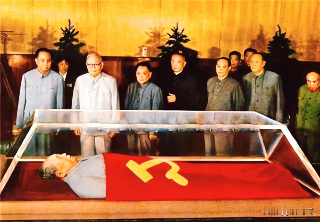 举国悲痛欲绝！
1976年，北京。
一代领袖去世，教员生前的战友排队与其告别。每