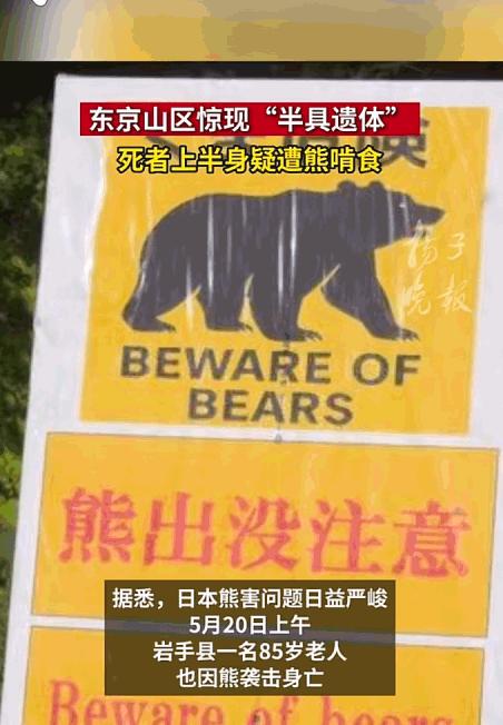 熊是饿疯了吗？！日本连爆两起夺命惨案！5月19日报道，东京奥多摩深山惊现恐怖遗体