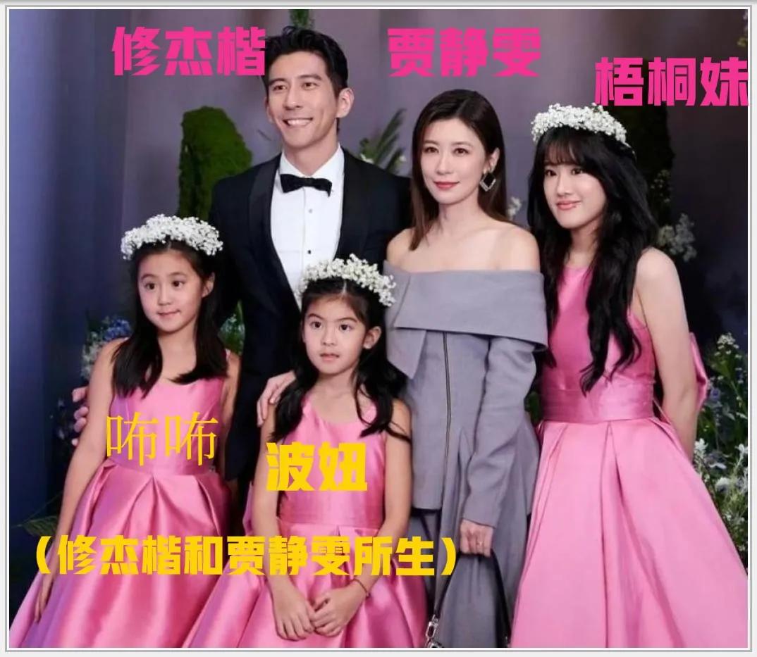 贾静雯女儿梧桐妹才20岁，从小到大的生活像过山车一样起伏不定。

梧桐妹是贾静雯