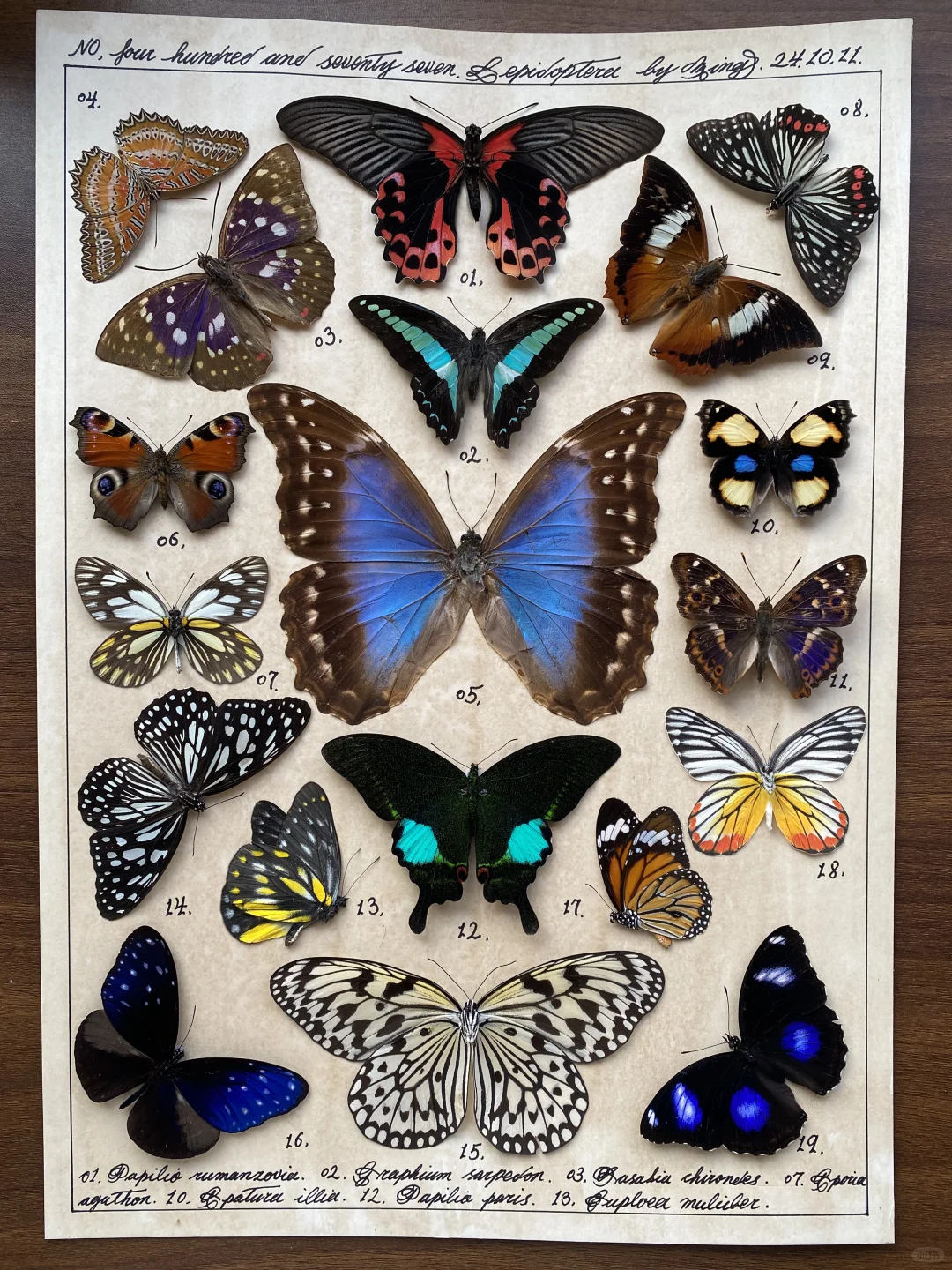 当我看到图4图5这两张插画的时候，我感觉我的生活就像这只小猫咪一样，在...