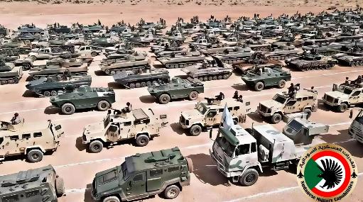 巴基斯坦真给力，都用不着我们出手！巴基斯坦一行动，苏丹军队就突然有能力，摆出大规