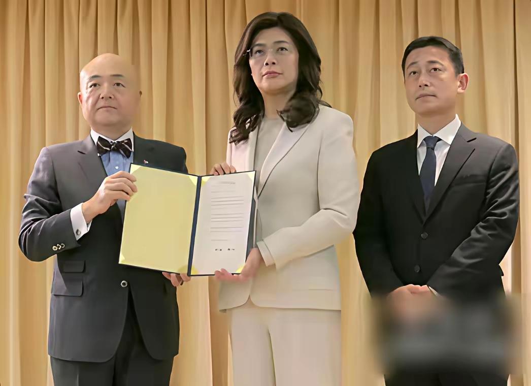 感觉郑丽文国民党是客串，本质还是民进党，上蹿下跳 本质一样。