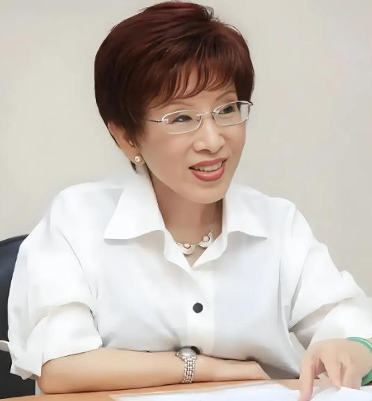一查才知道！郑丽文和洪秀柱两人的差别真不小：郑丽文上任后采取的是表面反对民进党，