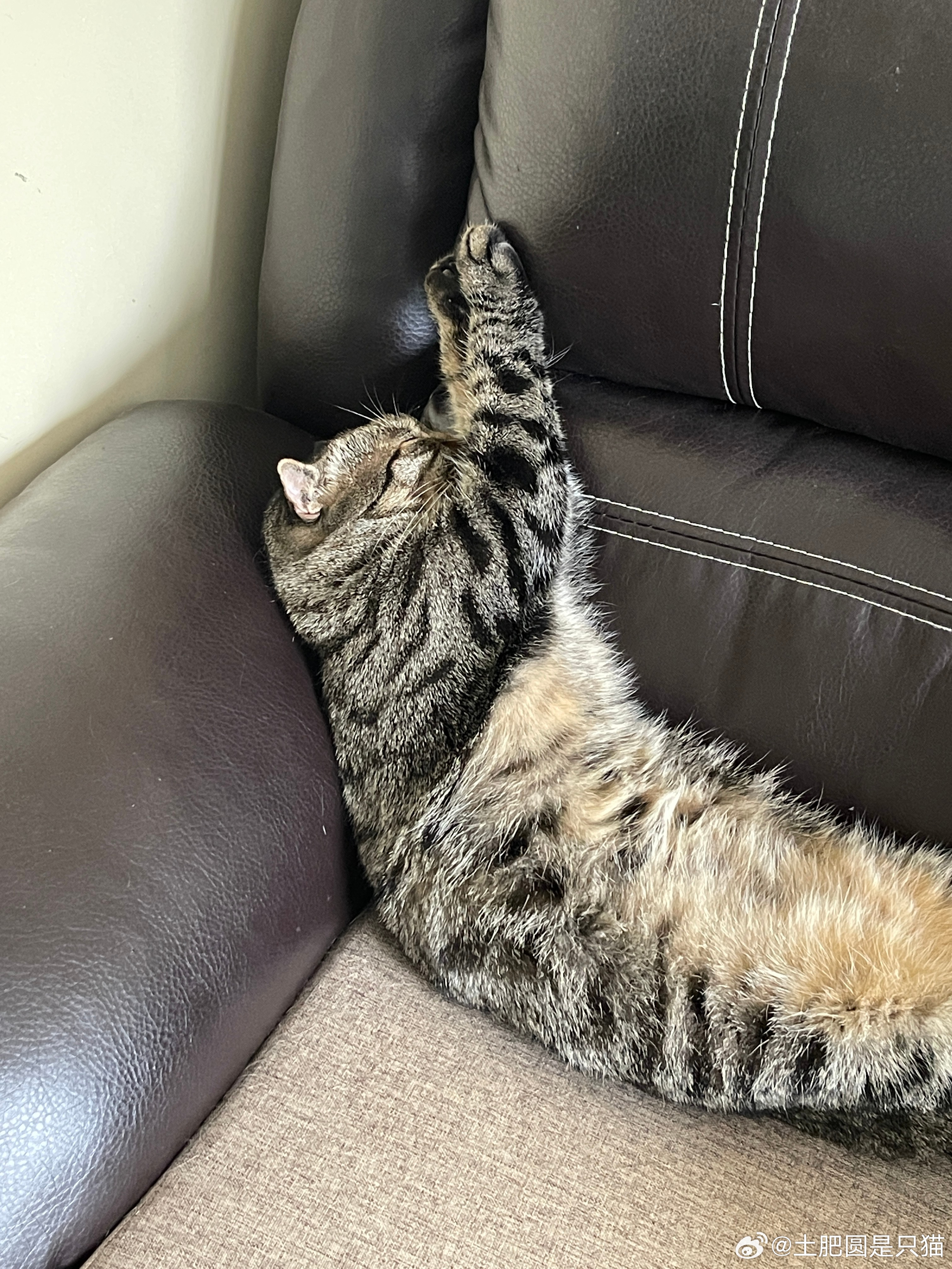 新睡姿 