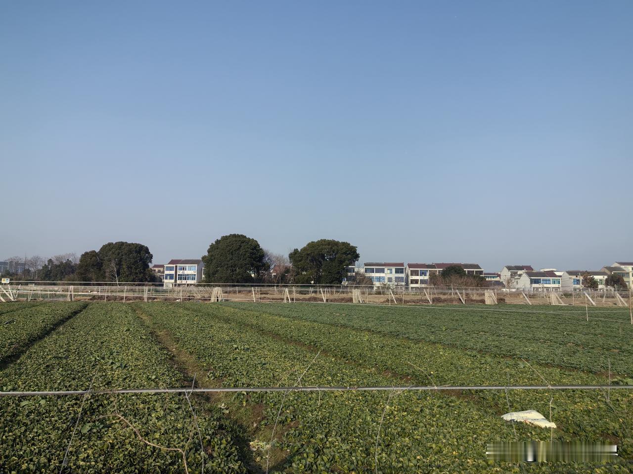 我们这里有家人家，儿子是我小学同学，但非常不幸，儿子才26岁就出车祸走了。

他