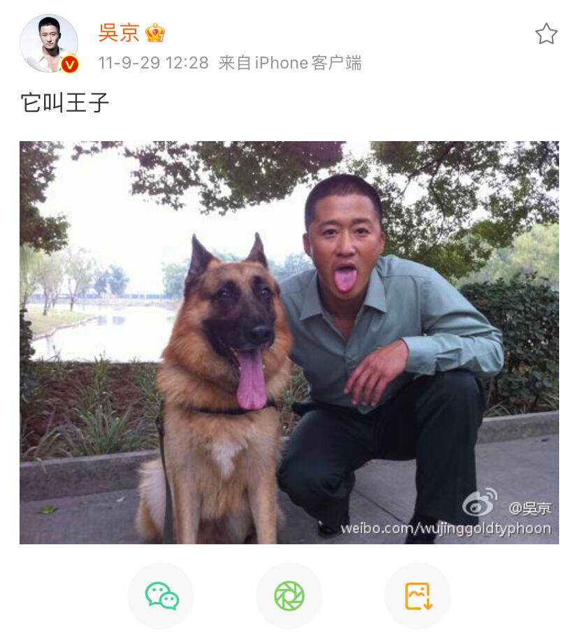 吴京周迅你俩别吵了不是吧不是吧，俩大佬吵架跟小学生拌嘴似的，还越吵越上头，别吵了