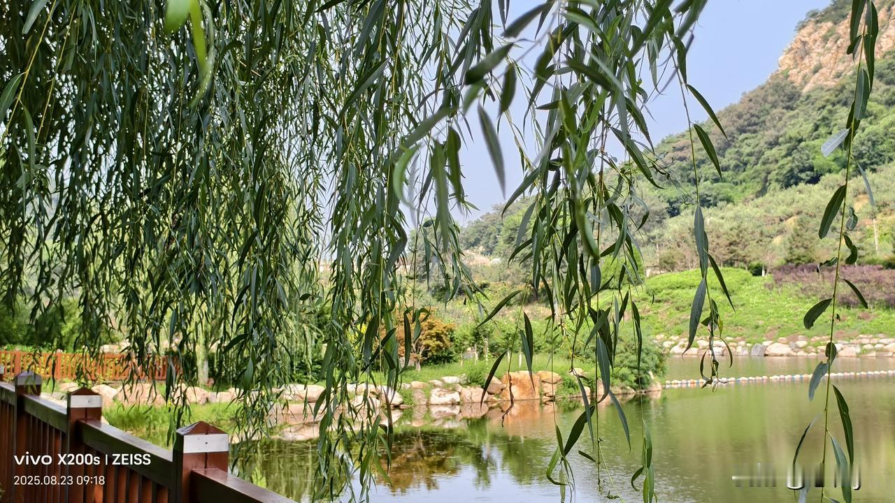 夏雨夏风夏柳绿
友友请出下联 友友请展示下联