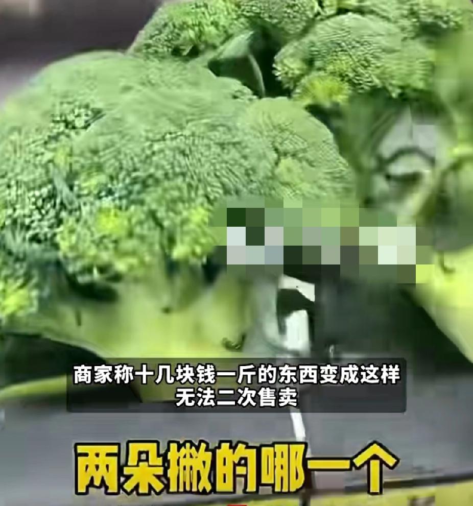 买不起就别买！11月26日，湖北武汉一大妈去超市将更贵的西兰苔掰断谎称西兰花，被