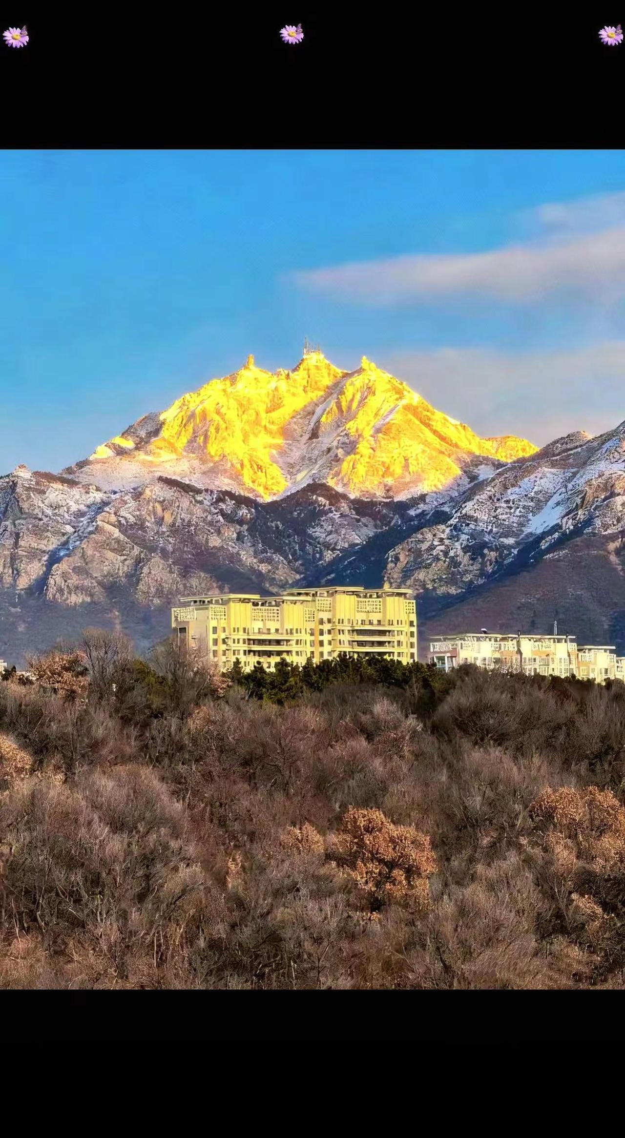 大连自己的日照金山，大黑山😊