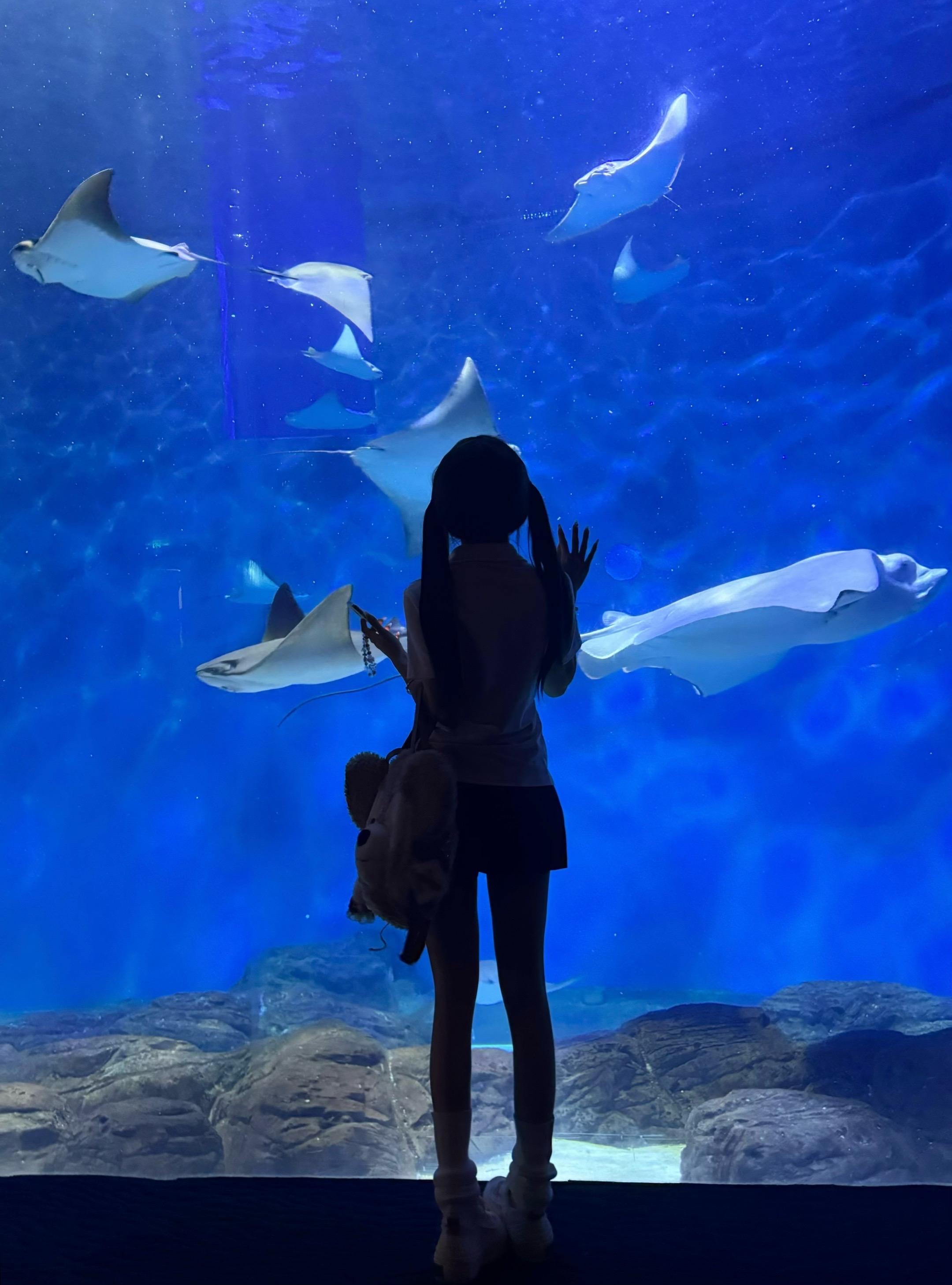 如果真爱有颜色 那一定是蓝色🫧ᐝ🪼🐠🩵