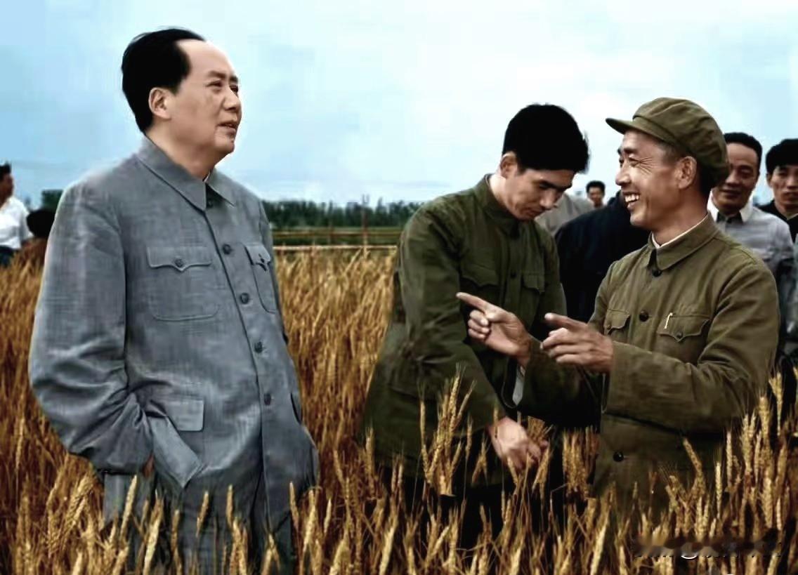 一张极其少见的照片。1960年，在河南郑州的燕庄麦田，毛主席听取基层村干部汇报小