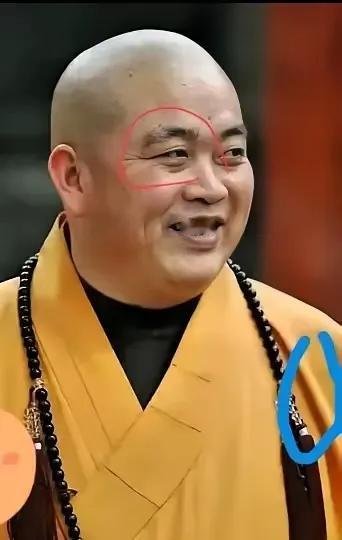一位僧人的面容，肥头大耳，我相信一句话，相由心生。这满面油光的样子，一看就是吃得