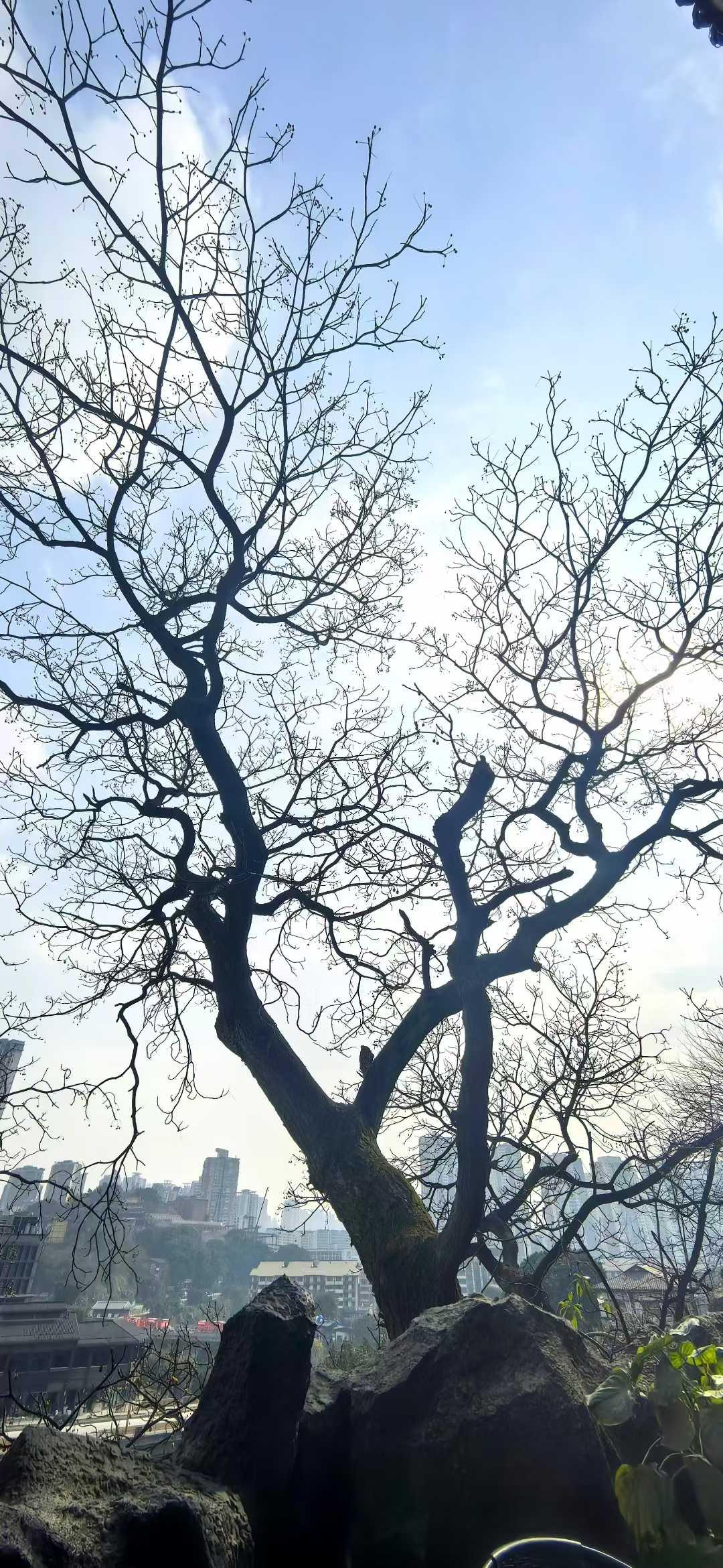 立春日，纳福迎新