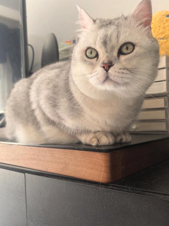 谁能告诉我他在干嘛？