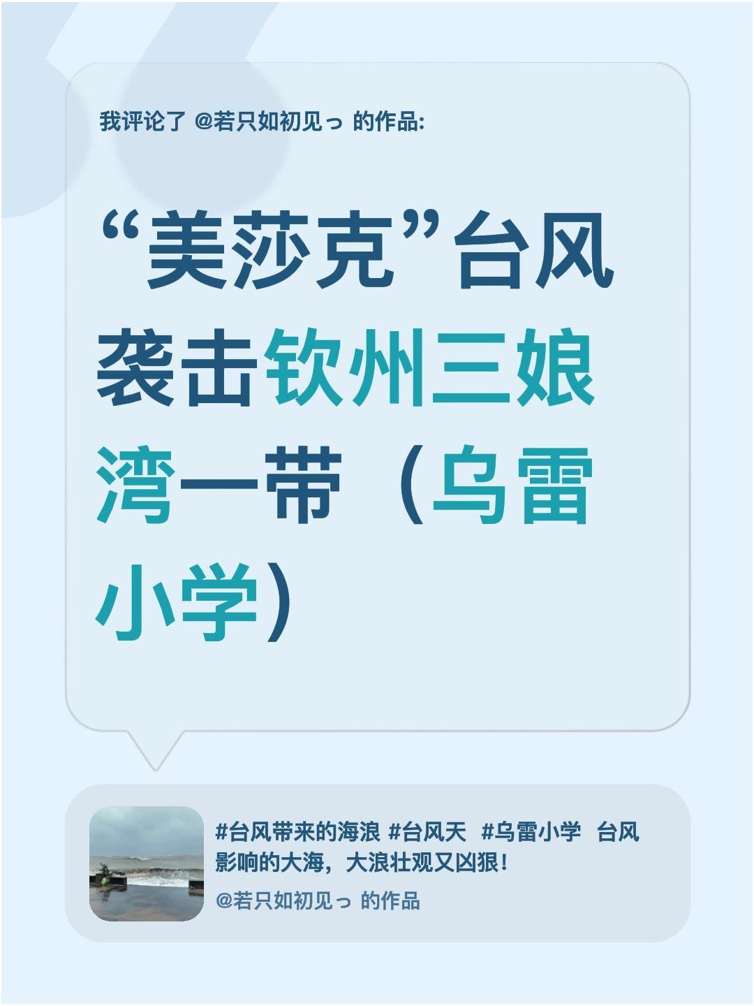 我评论了@若只如初见っ 的作品：
“美莎克”台风袭击钦州三娘湾一带（乌雷小学）
