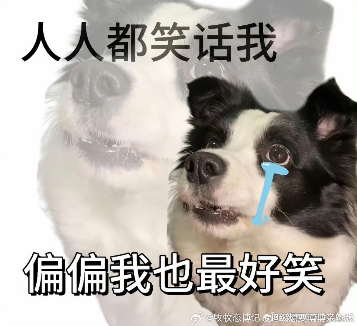 真是搞笑啊   比了这么多年车技还不如我家新手 同一个赛道  比比圈速啊   还