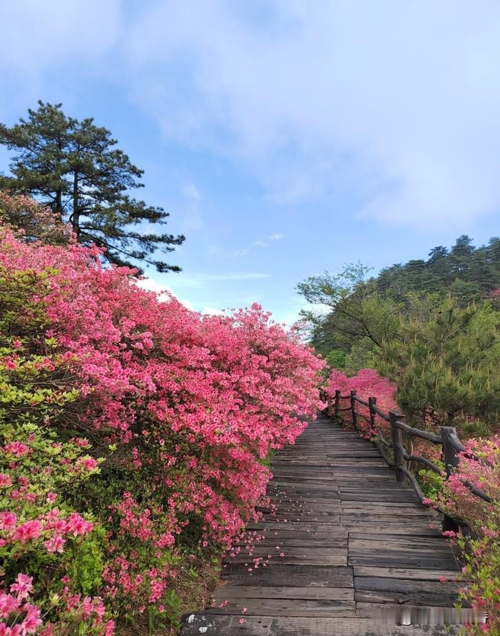 2026年五一小长假10大热门景点：

1. 北京故宫博物院
2. 上海迪士尼度