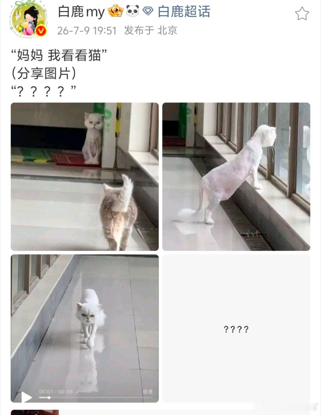 奶奶外婆带孩子，丑的妈妈想哭系列