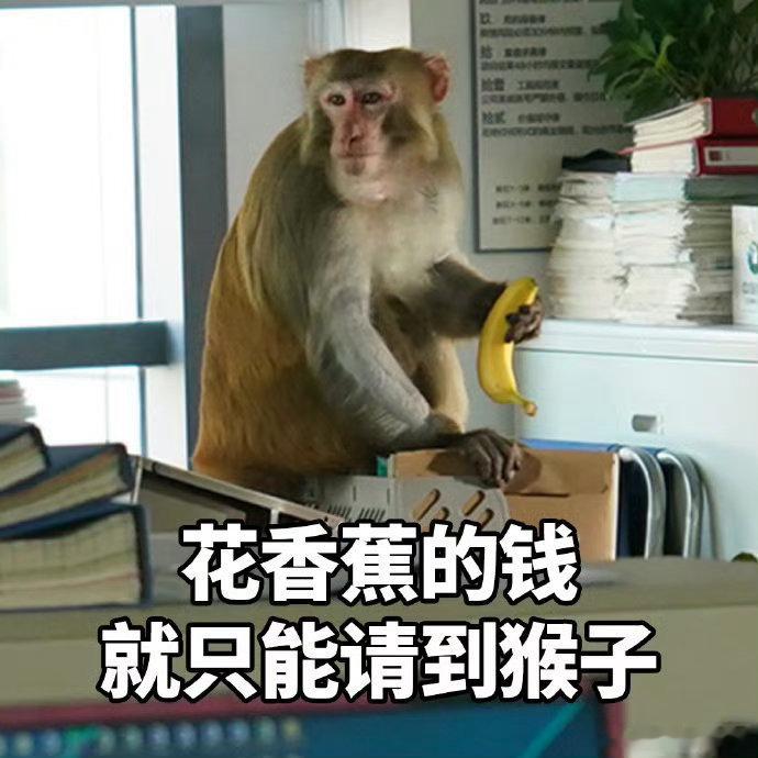 没有动物受到伤害除了猴子的心没想到猴子打工起来都很专业年会2用一个“猴名事件”完