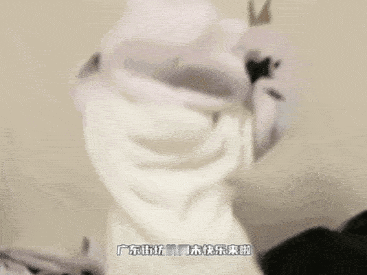 广州街坊的周末快乐被承包了周末解锁专属怀旧乐趣，广州街坊齐聚线下快闪现场。还原经