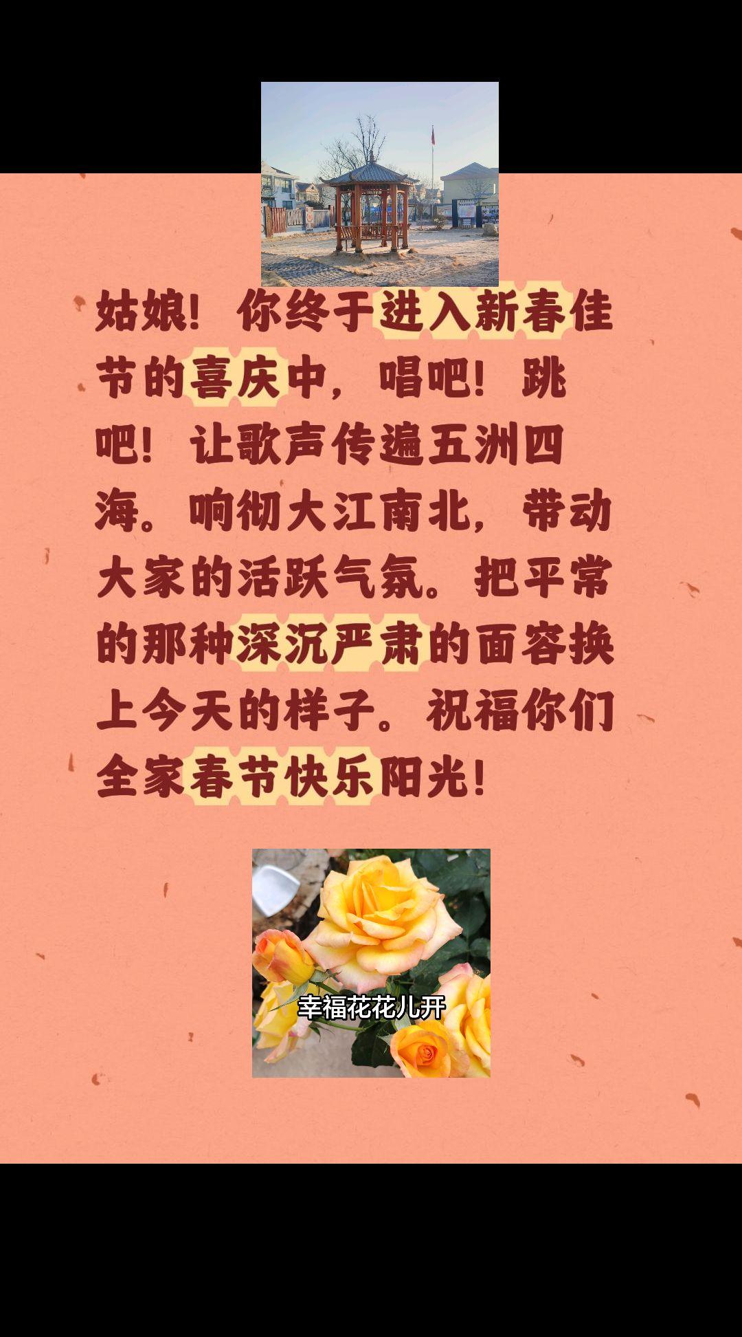 天南地北大拜年